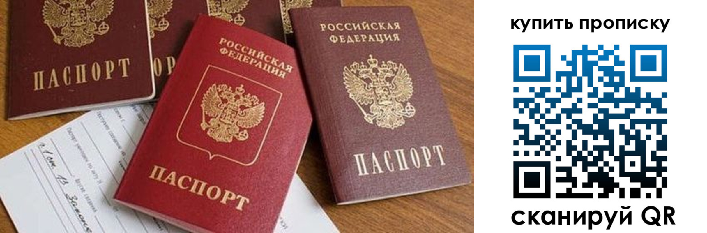 пропишу в квартире в Стародубе